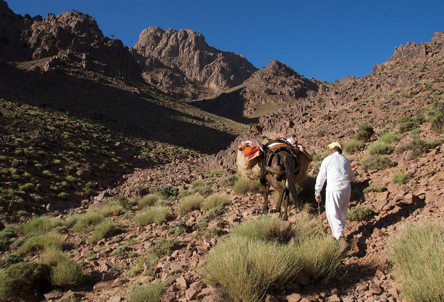 Jebel Saghro